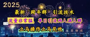最新“跨年群”引流,流量非常猛,单日引流两人满人群,立马操作立马见效【揭秘】-金融资料分享