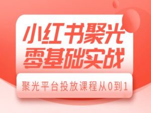 小红书聚光零基础实战，聚光平台投放课程从0到1-金融资料分享