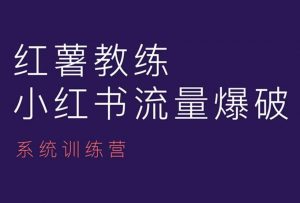 红薯教练-小红书内容运营课，小红书运营学习终点站-金融资料分享