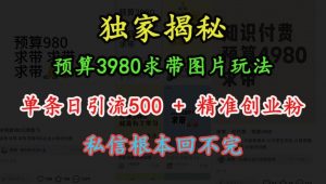 预算3980求带 图片玩法,单条日引流500+精准创业粉,私信根本回不完-金融资料分享