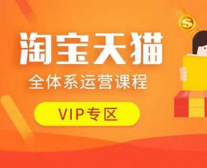 淘宝天猫全体系运营课程：店铺全系运营、动销玩法、付费推广、流量提升、擦边球玩法等等-金融资料分享