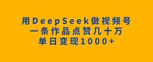 用DeepSeek做视频号,一条作品点赞几十万,单日变现1k-金融资料分享