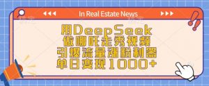 用DeepSeek做哪吒走秀视频，引爆流量涨粉利器，单日变现1k-金融资料分享