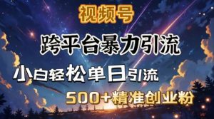 跨平台暴力引流,私域完美闭环,日引500+精准创业粉-金融资料分享