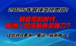 2025年最强变现思路,割韭菜的时代, 普通人如何翻身做镰刀?【揭秘】-金融资料分享