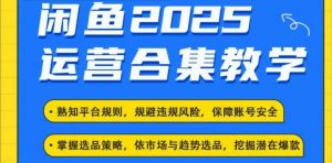 2025闲鱼电商运营全集，2025最新咸鱼玩法-金融资料分享