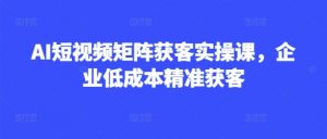 AI短视频矩阵获客实操课,企业低成本精准获客-金融资料分享