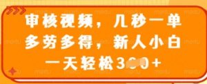审核视频，几秒一单，多劳多得，新人小白一天轻松3张【揭秘】-金融资料分享