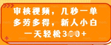 审核视频,几秒一单,多劳多得,新人小白一天轻松3张【揭秘】-金融资料分享