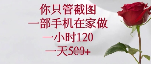 你只管截图,一部手机在家操作,一小时120.一天5张【揭秘】-金融资料分享