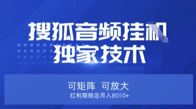 【搜狐音频挂G】独家技术，可矩阵可放大，红利期稳定月入8k【揭秘】-金融资料分享