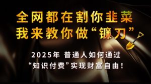 全网都在割你韭菜,我来教你做镰刀,2025普通人如何通过知识付费,实现财F自由【揭秘】-金融资料分享