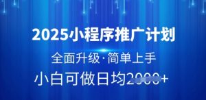 2025小程序推广计划，全面升级，简单上手，日均多张【揭秘】-金融资料分享