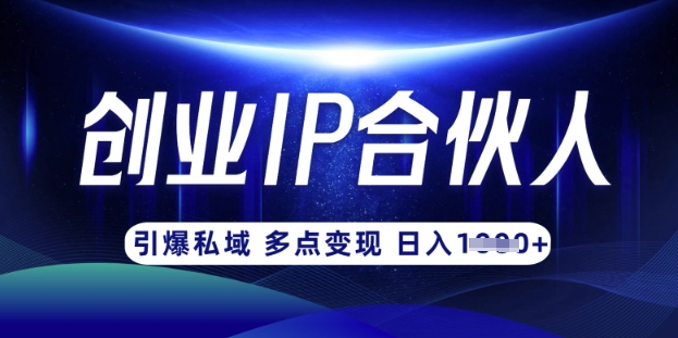 云帆·创业ip合伙人打造3.0,从0到1教你做网创,实现月入过W-金融资料分享