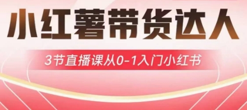 小红薯达人带货启航计划，3节直播课从0-1入门小红书-金融资料分享