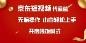 京东短视频代运营，全程喂饭，小白轻松上手【揭秘】-金融资料分享