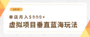 虚拟项目垂直玩法,实现单店月入5k+-金融资料分享