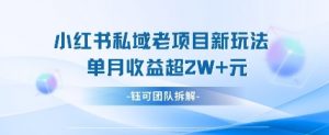小红书私域项目新玩法，单月变现过W+-金融资料分享