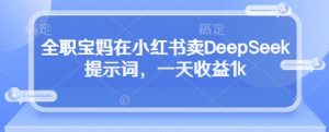 全职宝妈在小红书卖DeepSeek提示词，一天收益1k-金融资料分享
