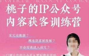 桃子IP公众号内容获客训练营(第3期)，一门让你公众号从0到商业闭环的课程-金融资料分享