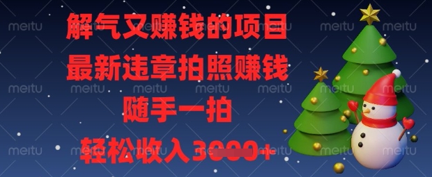 解气又挣钱的项目，最新违章拍照挣钱，随手一拍，轻松收入数张【揭秘】-金融资料分享