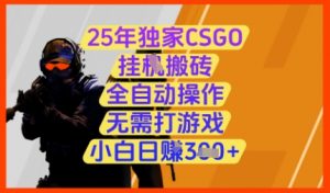 25年独家CSGO挂G搬砖，全自动操作，无需打游戏，小白日入3张+【揭秘】-金融资料分享