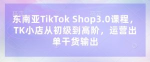东南亚TikTok Shop3.0课程,TK小店从初级到高阶,运营出单干货输出-金融资料分享
