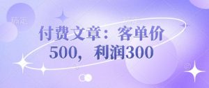 付费文章：客单价500，利润300-金融资料分享