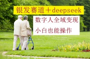 银发赛道+deepseek数字人全域变现，小白也能操作-金融资料分享