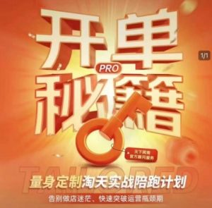 淘宝开单秘籍PRO，量身定制淘天实战陪跑计划，告别做店迷茫、快速突破运营瓶颈期（更新）-金融资料分享