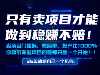 只有卖项目才能做到稳挣不赔，门槛低，更简单，你也可以年入百个W【揭秘】-金融资料分享