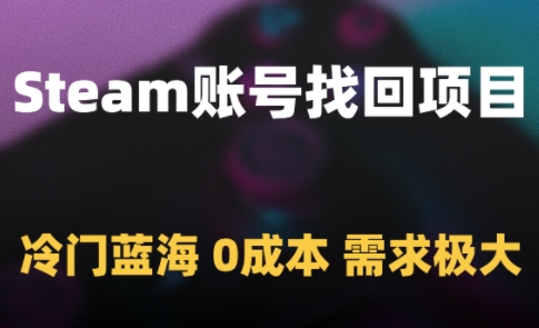 Steam账号找回项目,冷门蓝海,0成本,需求极大-金融资料分享