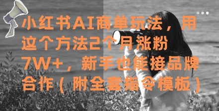 小红书AI商单玩法,用这个方法2个月涨粉7W+,新手也能接品牌合作(附全套指令模板)-金融资料分享