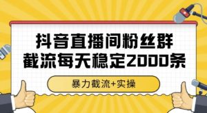 抖音直播间粉丝群暴力截流，一台电脑每天稳定2000条数据，暴力截流+实操 【揭秘】-金融资料分享