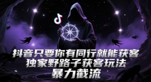 抖音只要你有同行就能获客，独家野路子获客玩法，暴力截流【揭秘】-金融资料分享