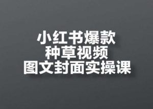 小红书爆款种草视频图文封面实操课,开店、选品、引流、变现全流程-金融资料分享
