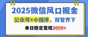 2025微信风口掘金,公众号+小程序双管齐下,单日稳定变现1k+【揭秘】-金融资料分享