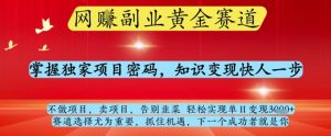 网创副业黄全赛道,掌握独家项目密码,知识变现快人一步,告别韭菜轻松实现单日变现1k+【揭秘】-金融资料分享