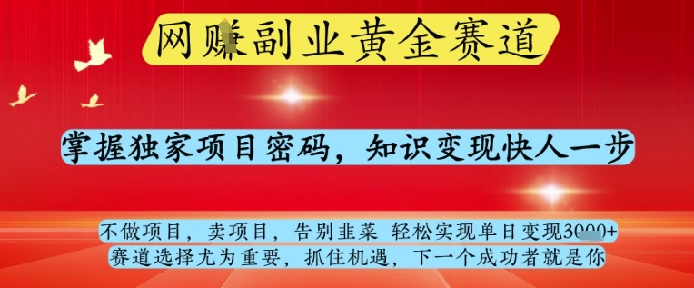 网创副业黄全赛道,掌握独家项目密码,知识变现快人一步,告别韭菜轻松实现单日变现1k+【揭秘】-金融资料分享