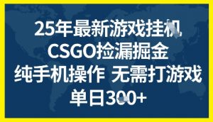 25年CSGO游戏搬砖，全自动挂G，不需要玩游戏，手机操作日入3张+【揭秘】-金融资料分享