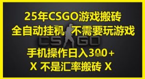 25年CSGO游戏搬砖，全自动运行，不需要玩游戏，手机操作日入3张(不是汇率搬砖)【揭秘】-金融资料分享