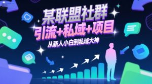 某联盟社群，引流+私域+项目，从新人小白到私域大神-金融资料分享