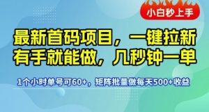 最新首码项目,一键拉新有手就能做,几秒钟一单,1个小时单号可60+,矩阵批量做每天5张【揭秘】-金融资料分享