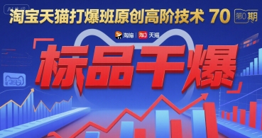 淘宝天猫打爆班原创高阶技术第70期:标品干爆-金融资料分享