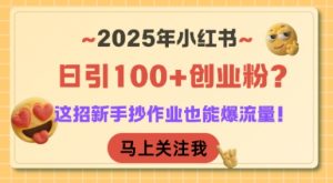 2025年小红书日引100+创业粉?这招新手抄作业也能爆流量!-金融资料分享