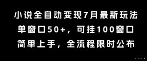 小说全自动变现7月玩法，单窗口50+，可挂100窗口，简单上手，全流程限时公布【揭秘】-金融资料分享