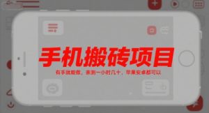 手机搬砖项目，有手就能做，亲测一小时几十，苹果安卓都可以-金融资料分享