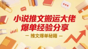 小说推文搬运大佬爆单经验分享，推文爆单秘籍-金融资料分享