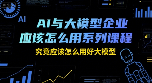 AI与大模型企业应该怎么用系列课程,究竟应该怎么用好大模型-金融资料分享