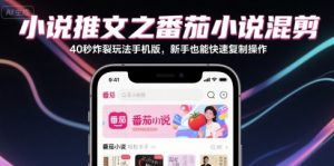 小说推文之番茄小说混剪40秒炸裂玩法手机版,新手也能快速复制操作-金融资料分享